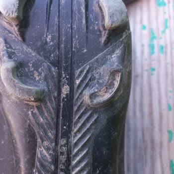 ÇiçekSepeti Krampon Giyilemez Halde