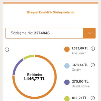 NN Hayat ve Emeklilik Bir Yıl İçerisinde Eksi Fon Getirisi