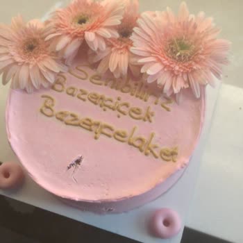 Peçko Fırın Pasta Yapmaya Çalışmışlar