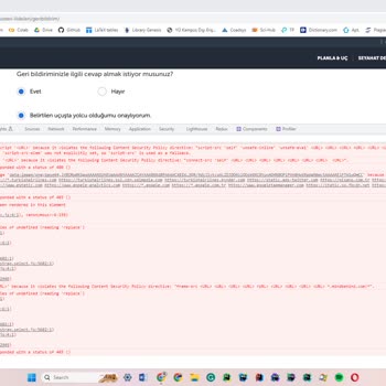 THY Çalışmayan Geri Bildirim Sayfası