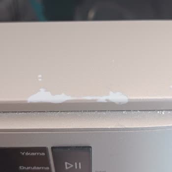 Vestel Bulaşık Makinesi Boya Soyulması