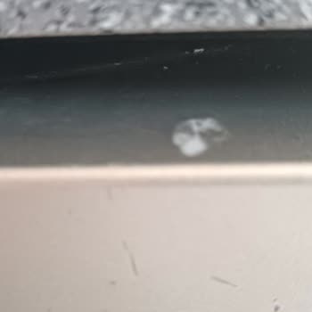 Vestel Bulaşık Makinesi Boya Soyulması