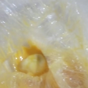 BİM Yumurtanın İçinden Civciv Çıktı!