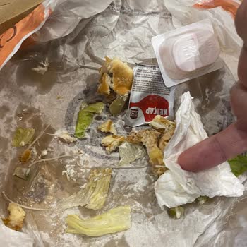 Burger King Fish Royale De Kılcık Cıktı