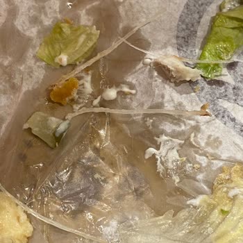 Burger King Fish Royale De Kılcık Cıktı