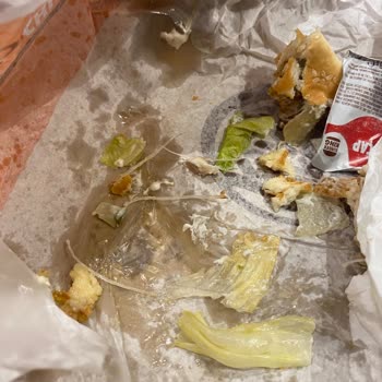 Burger King Fish Royale De Kılcık Cıktı