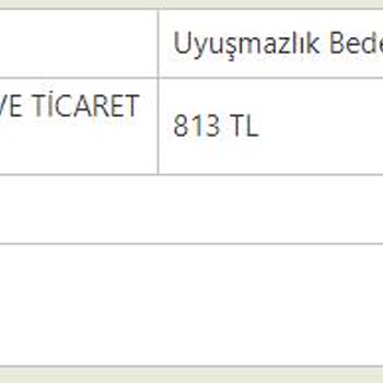 Egemen Aktif Spor Adidas Gibi Bir Markanın Mağdur Etmesi