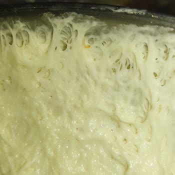 Oba Makarna Oba Un Kurtlu