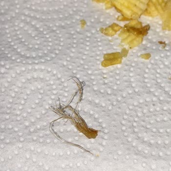 BİM Patito Cips İçerisinden Çıkan Tuhaf Şey