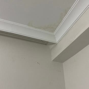 Eureko Evim Garantide Plus (! )