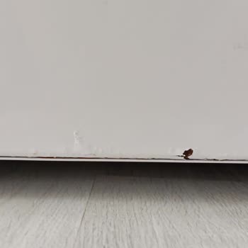 Vestel Buzdolabının Alt Kapağı Paslandı