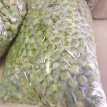 Egedenkapiniza (Instagram) Egedenkapiniza Instagram Sayfası Çürük Bezelye Gönderiyor