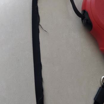 Doggie Pet Aksesuarları Doggie Premium Tasma Kayışı Sökülmesi