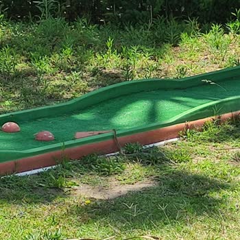 Calimera Serra Palace Otelde Yılan Çıkması