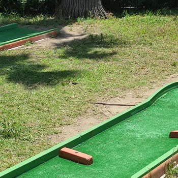 Calimera Serra Palace Otelde Yılan Çıkması