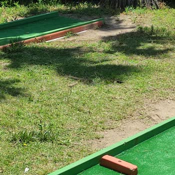 Calimera Serra Palace Otelde Yılan Çıkması