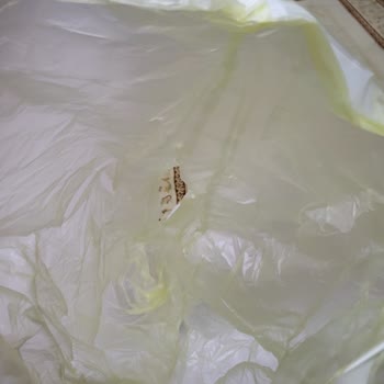 Protex Temizlik-Pişirme Ürünleri Çöp Poşetleri Delik ve Yırtık Çıkıyor