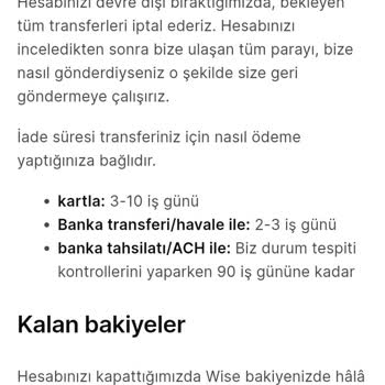 Wise Paraları Alıp Kendi Kullanıyor