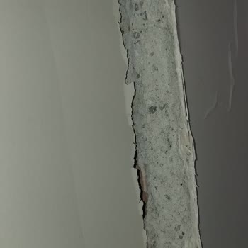 DASK Yetersiz Hasar Ödemesi İtiraz