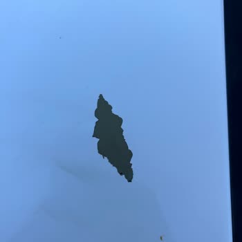 Opel Fabrika Hatasına Bağlı Boya Dökülmesi