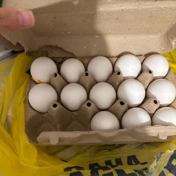 Şok Marketler Şok Bozulmuş Ürün