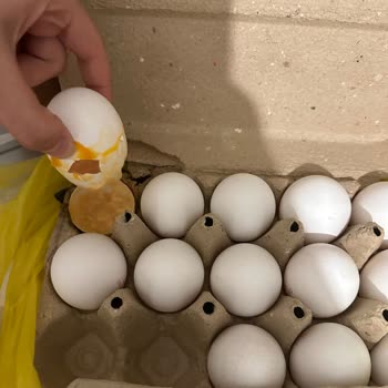 Şok Marketler Şok Bozulmuş Ürün