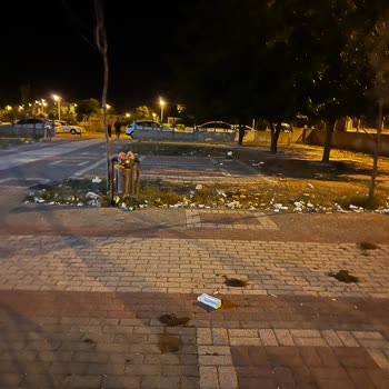 Beşiri Belediyesi Park Mahalle Temizliği