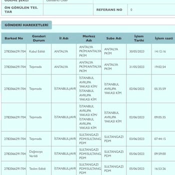 ÇiçekSepeti Siparişim Kayboldu Ve İlgilenen Kimse Yok!