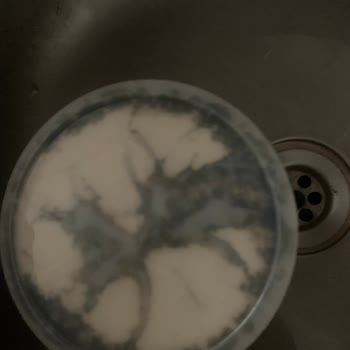 Grundig Doesn't Offer Replacing The Fridge That Can't Be Fixed