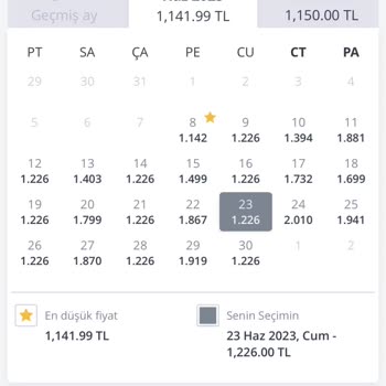 Pegasus Sistemsel Paket Hatası