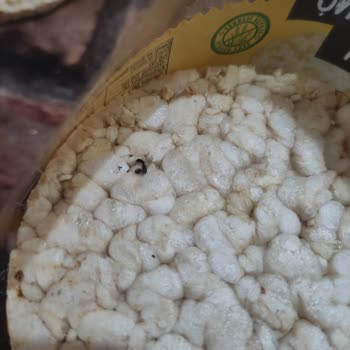 A101 Burç Marka Pirinç Patlağı Böcek Çıktı, Hijyen Sıfır