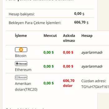 Bmi Capitals Para Yatırdım Geri Verilmiyor