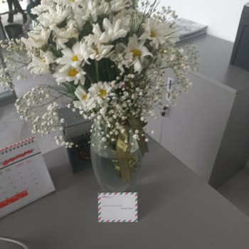 Osevio Soluk Çiçek