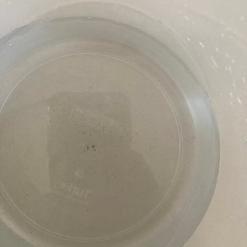 Schafer Blender Yerinden Çıkıyor