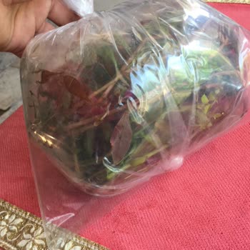 Akvaryumbitkicim.com Görsel Yanıltmaca Ürün Görselleriyle Gönderdikleri Bambaşka