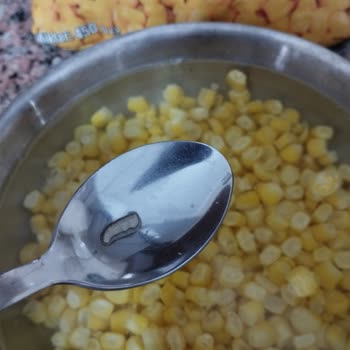 A101 Dondurulmuş Mısırda Kurt Çıktı