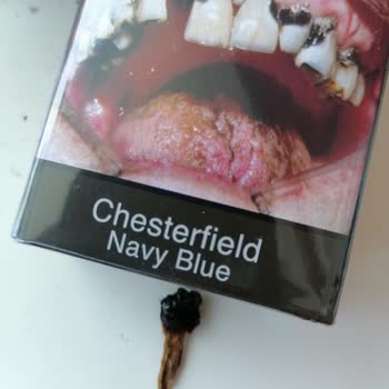 Philip Morris Sigaranın İçinden Dal Parçaları Çıkıyor