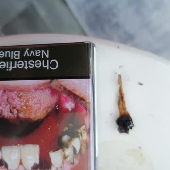 Philip Morris Sigaranın İçinden Dal Parçaları Çıkıyor