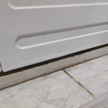 Electrolux Çamaşır Makinesi Boya Atması/Kabarması