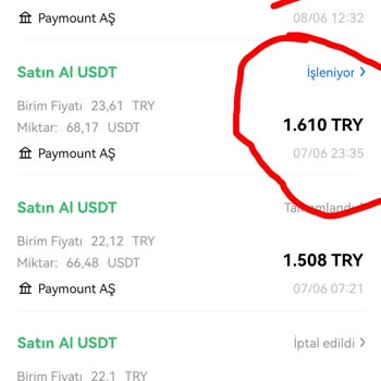 Paymount Okx Firmasına Yaptığım Para Aktarımı Hesabıma Geçmedi