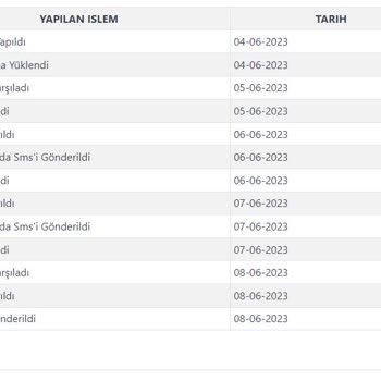 Kargoist Teslim Edilmeyen Kargo