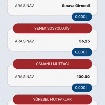 Anadolu Üniversitesi Sınav Sistemi Sorunu