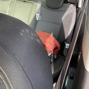 Kia Gül-Al Otomotiv İlgisizliği Ve Aracıma Kedi Girmesi