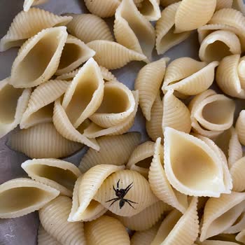 Mutlu Makarnadan Böcek Çıktı!