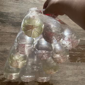 A101 Hayat İçecek Yosunlu