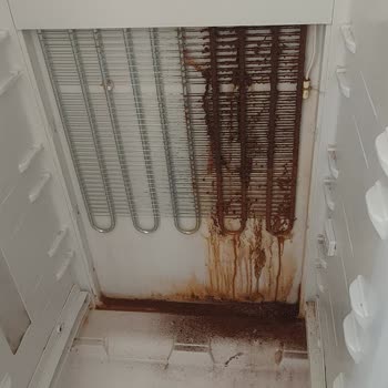 Arçelik 2181 Nfl Buzdolabı Arızası