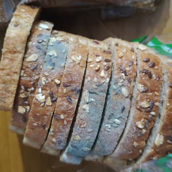 Uno Ekmek Yeni Buluş Premium Küflenmiş Ekmek