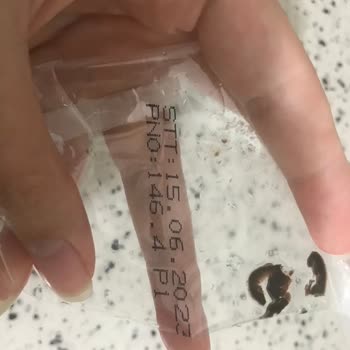 Şok Marketler Lezztat Marka Bozuk Profiterol Satılması