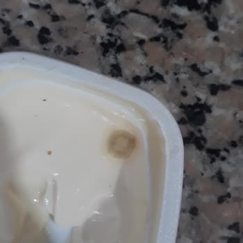 İçim S. T. T Geçmemiş Küflenen Peynir