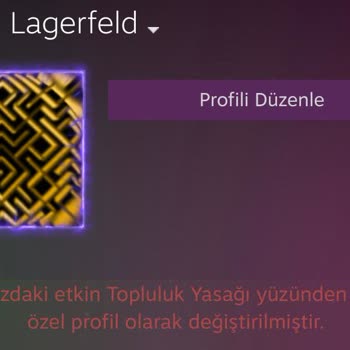 Steam Hesabım Banlandı, Oyunlarım Kayboldu